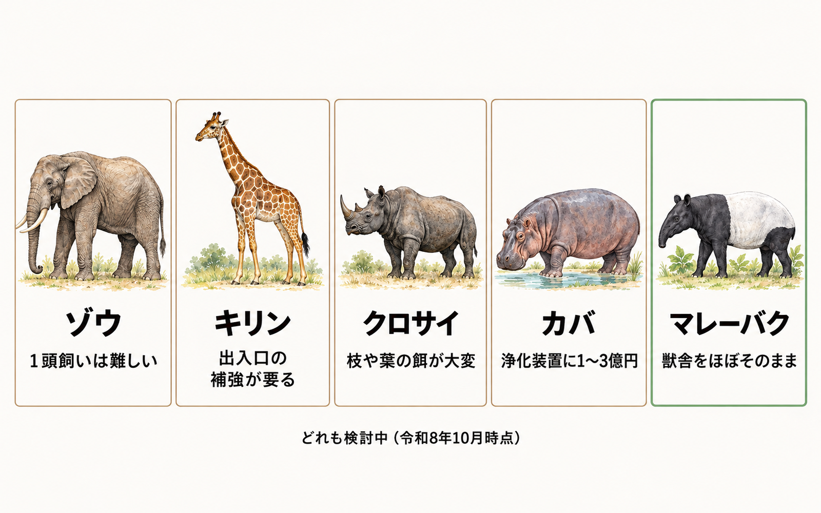 東公園動物園で検討されている動物（ゾウ・キリン・クロサイ・カバ・マレーバク）と、迎えるための課題の比較